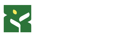 zishengelectric